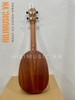 dan-ukulele-concert-dang-pin-apple-phoenix-uk24