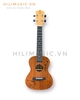 dan-ukulele-ht-uk23-concert-go-mahogany