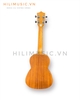 dan-ukulele-ht-uk23-concert-go-mahogany