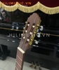 dan-guitar-classic-g202-mau-li