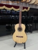 dan-guitar-classic-g202-mau-li