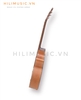 dan-guitar-acoustic-ag-622-go-mix-cao-cap