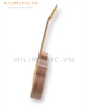 dan-guitar-acoustic-ag629-go-diep-nu-mau-li