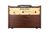 ampli-guitar-nux-street-artist-sa-40-lien-pin