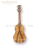 dan-ukulele-concert-go-diep-cao-cap