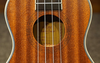 dan-ukulele-valote-va-24m01