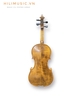 dan-violin-workshop-3-4