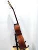 dan-guitar-classic-cg-300e