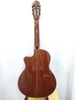 dan-guitar-classic-cg-410a