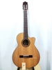 dan-guitar-classic-cg-130e