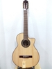 dan-guitar-classic-cg-202e