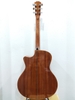 dan-guitar-acoustic-ag-210fs
