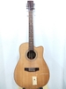 dan-guitar-acoustic-ag-270a