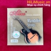 day-dan-mandolin-am05