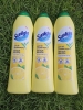 Kem Tẩy Chuyên Dụng Sunlight 690g