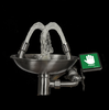 Wall Mounted Eyewash Station with Epoxy Coating Model SS3002Y