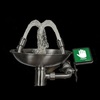 Deck Mounted Eyewash Station with Epoxy Model SS3004Y