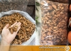 Sơ Dừa Cục