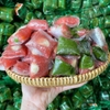 DLA7 Nem Chua LAI VUNG 300g