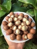 BK26 Hạt Mắc Ca (Macadamia) 250gr