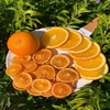 BK14 Dried Orange Cam sấy lát 200g