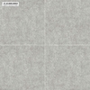 gach-carina-ca5-mo6601