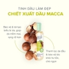 Tinh dầu làm đẹp toàn thân và tóc Evoluderm chiết xuất Dầu Macca 100ml