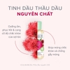 Tinh dầu dưỡng Thầu Dầu nguyên chất chăm sóc tóc và móng 100ml