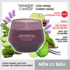 Nến ly bầu Yankee Candle mùi Dried Lavender Oak