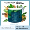Nến thơm Goose Creek, Nến ly 3 bấc sáp đậu nành, Dòng Aromatherapy, Mùi Tranquil Rainforest