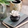 Lọ gốm trang trí tỏa hương - Gardenia Porcelain Diffuser