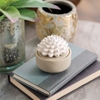 Lọ gốm trang trí tỏa hương - Succulent Porcelain Diffuser