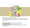 Kẹp thơm xe Sage & Citrus