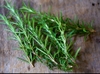 LÁ HƯƠNG THẢO TƯƠI - FRESH ROSEMARY