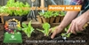 Giá thể trồng rau organic & hoa - Potting Mix