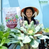 Đất trồng cây đa dụng Sfarm - Bao 20dm3
