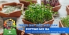 Giá thể trồng rau organic & hoa - Potting Mix