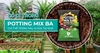 Giá thể trồng rau organic & hoa - Potting Mix
