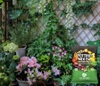 Giá thể trồng rau organic & hoa - Potting Mix