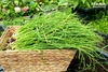 Phân mùn mía Sfarm - 2kg