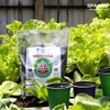 Phân mùn mía Sfarm - 2kg