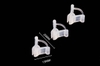 DC13_Kẹp bướm cố định cây