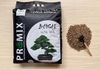 Promix Bonsai (bao 8kg)