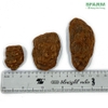 Vỏ thông đã xử lý mài cạnh Sfarm 1-3cm