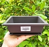 Khay CNV06 - Khay lót chậu - nhiều size