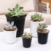 CNT10 - Chậu nhựa mã 10 (5 size)