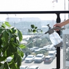 DC36_Bình Tưới Cây Tự Động (2 mẫu)