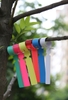 DC09_Bảng tên màu