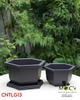 CNLG13 - Chậu Nhựa Lục Giác Mã 13 (3 size)