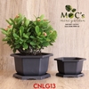 CNLG13 - Chậu Nhựa Lục Giác Mã 13 (3 size)